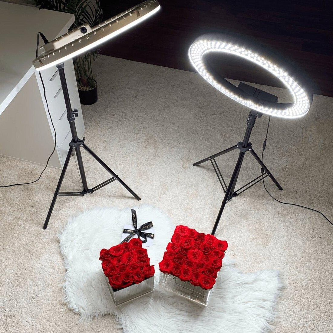 Using a Ring Light In Your Food and Product Photography | Luvo Store